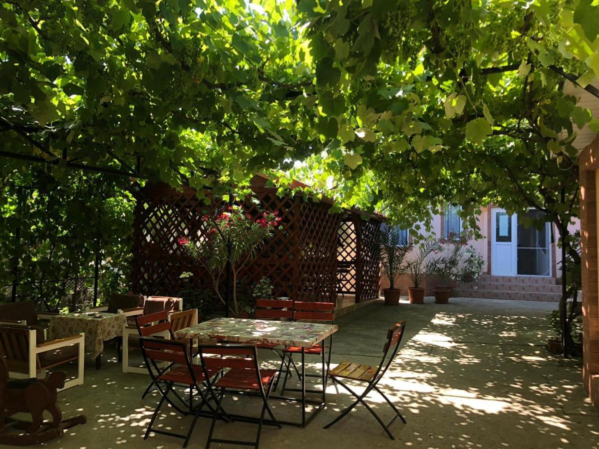 Casa Dasoveanu Costinesti Exterior foto