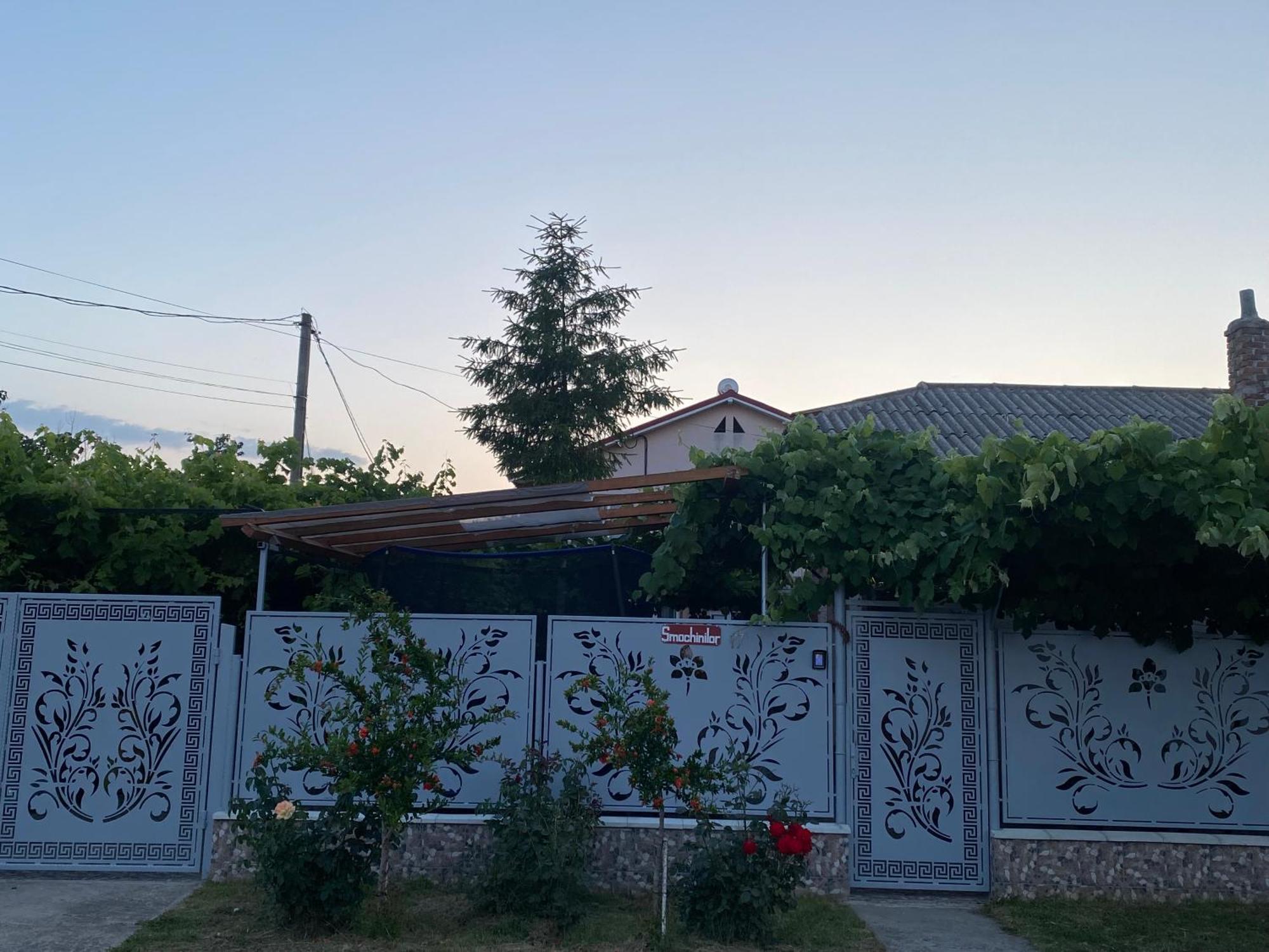 Casa Dasoveanu Costinesti Exterior foto